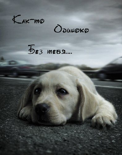  (395x500, 110Kb)