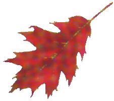 112 (226x200, 16Kb)