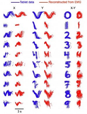  (299x392, 35Kb)