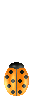  (33x100, 24Kb)