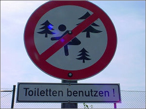 (500x375, 41Kb)