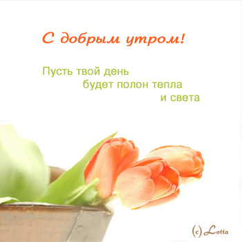 16154987_361912 (350x350, 32Kb)