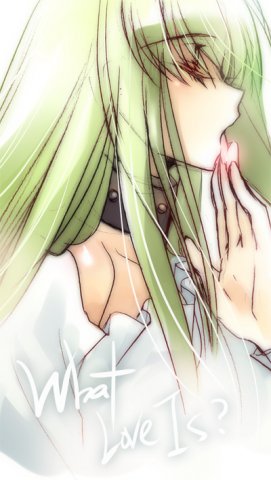  (271x480, 29Kb)