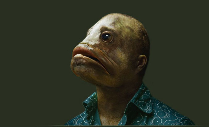  (700x425, 42Kb)