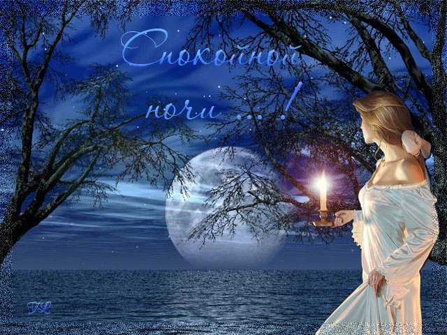  (640x480, 109Kb)