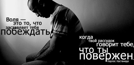  (450x220, 21Kb)