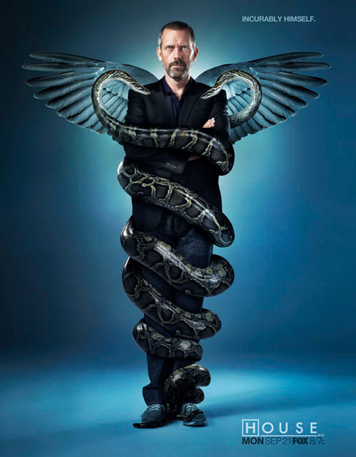 housemd_13 (500x643, 68Kb)