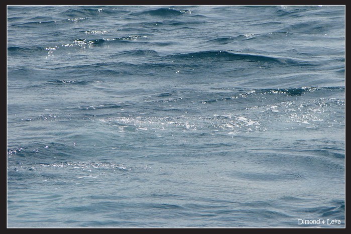  (699x466, 104Kb)