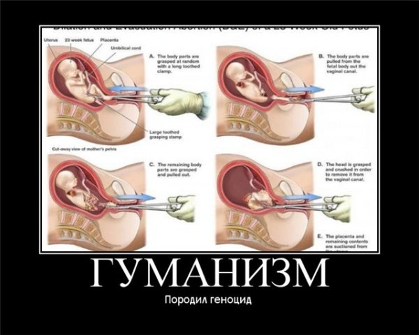  (600x480, 48Kb)