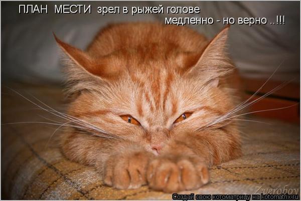  (600x401, 38Kb)