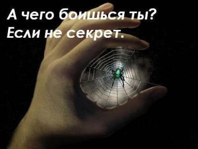  (400x300, 58Kb)