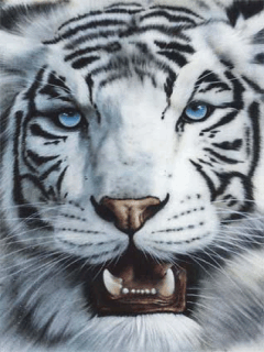 tiger_2010 (240x320, 69Kb)