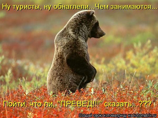  (600x450, 69Kb)