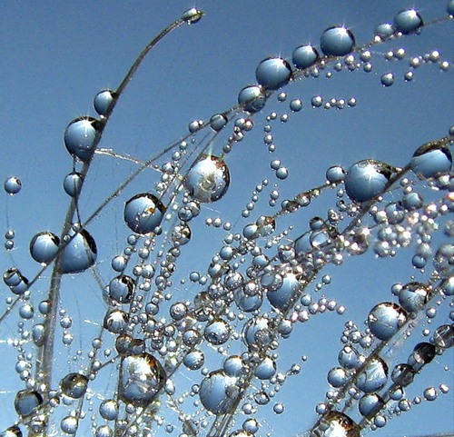  (500x481, 93Kb)