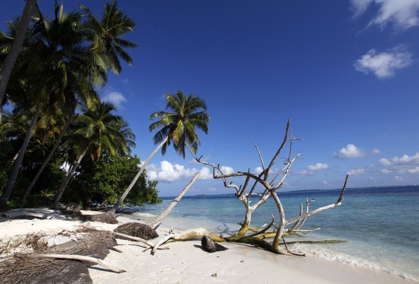    Male Atoll, 8  2009.