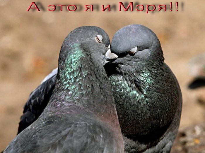  (700x525, 90Kb)