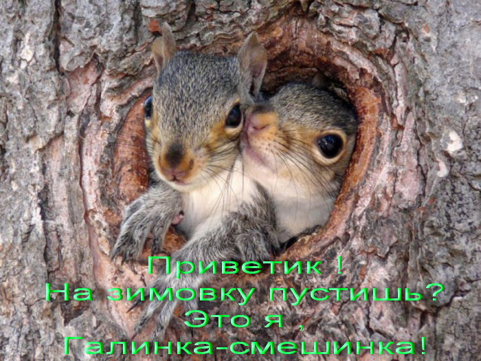  (700x525, 155Kb)