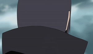  (300x176, 1794Kb)