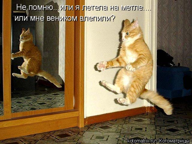 (640x480, 66Kb)