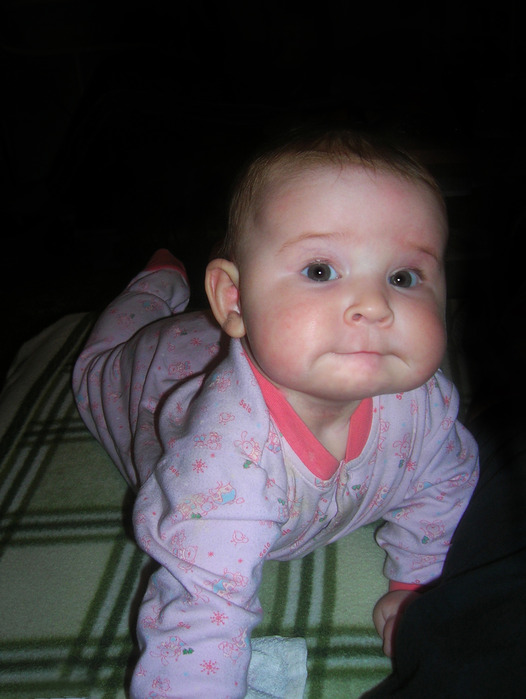 DSCN7470 (526x699, 87Kb)