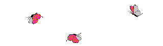  (320x91, 3Kb)