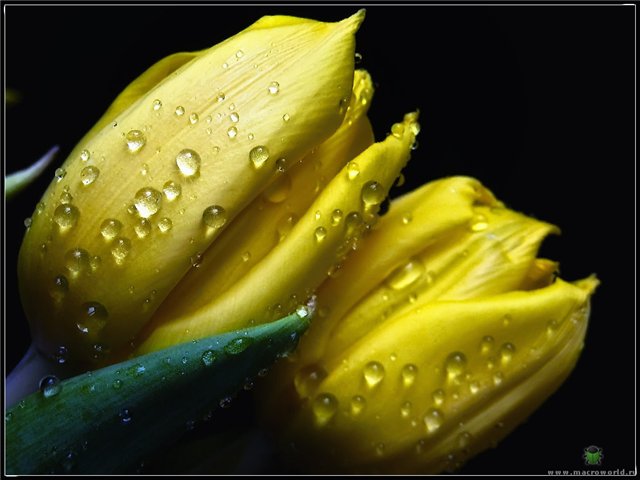  (640x480, 45Kb)