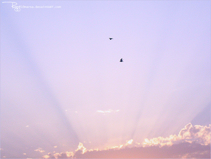  (699x525, 138Kb)