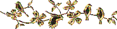  (240x61, 18Kb)