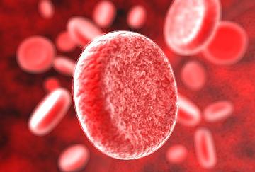 blood (360x243, 15Kb)