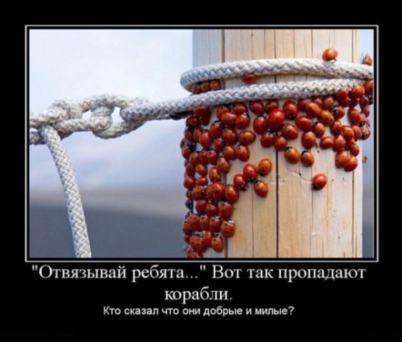  (564x480, 44Kb)