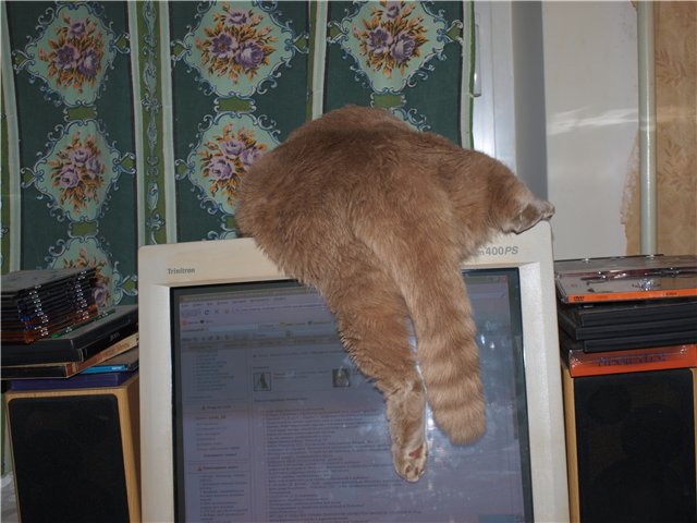  (640x480, 60Kb)
