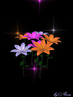  (240x320, 177Kb)