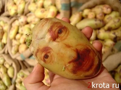  (400x300, 25Kb)