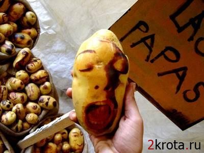 (400x300, 34Kb)
