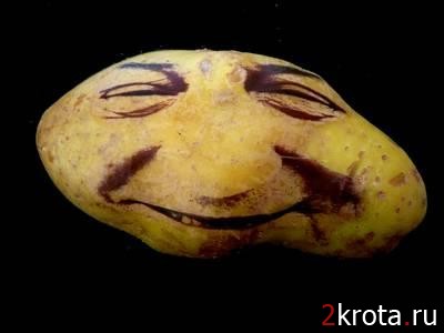  (400x300, 17Kb)