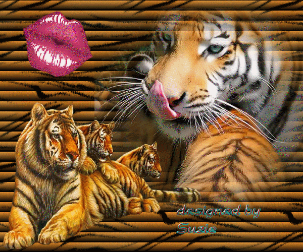  (600x500, 417Kb)
