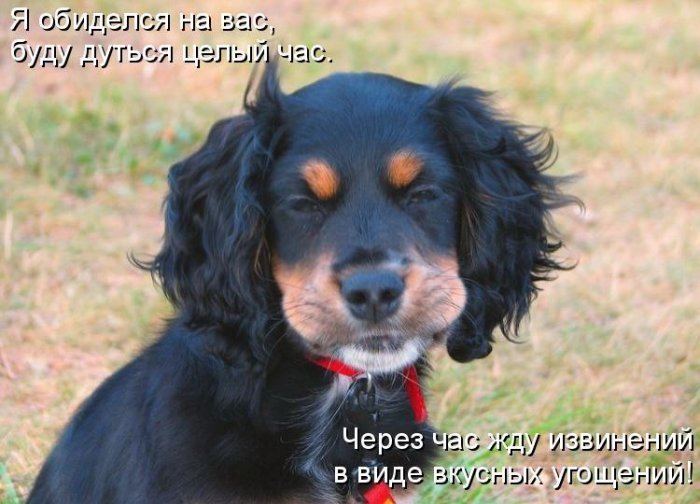 (700x504, 67Kb)