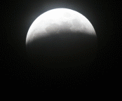 (174x144, 220Kb)