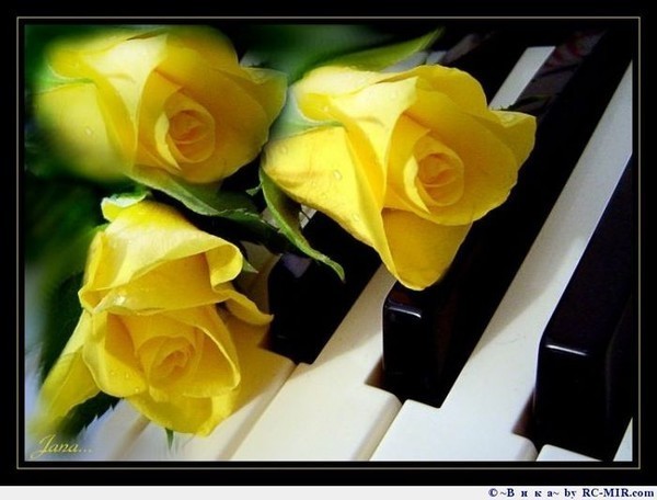  (600x456, 55Kb)
