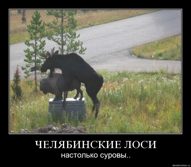  (640x559, 70Kb)