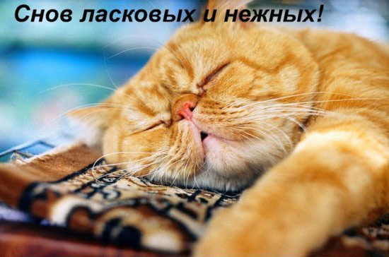  (550x364, 73Kb)