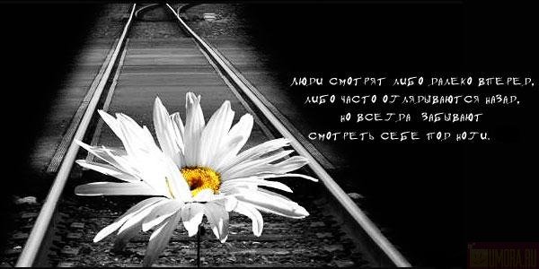  (600x300, 41Kb)
