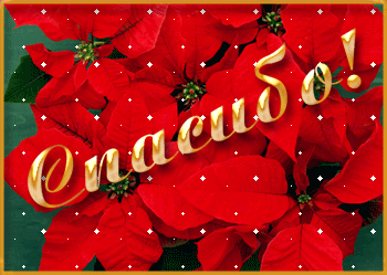 53649889_3449f65bccd1 (350x249, 153Kb)