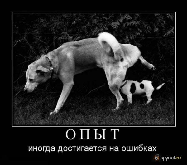  (600x529, 40Kb)