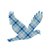  (100x100, 8Kb)
