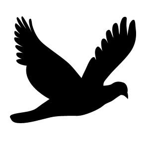  (300x300, 6Kb)