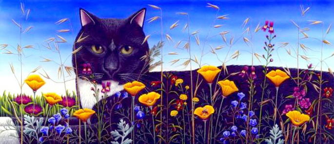 Carol_Wilson_Cat_in_flower_field1 (685x297, 51Kb)