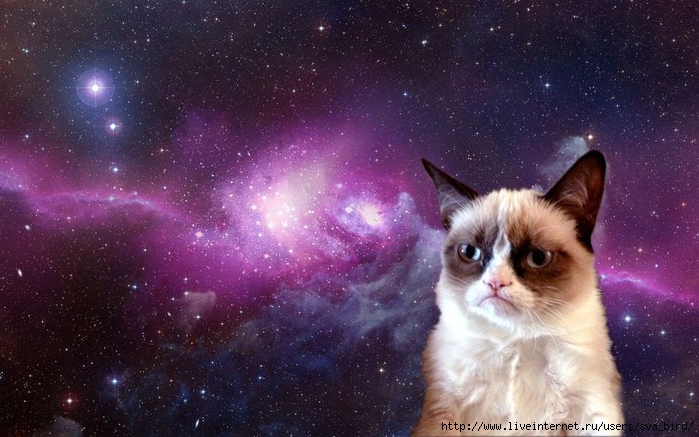 Grumpy-Cat-обои-космос-котэ-496544 (700x437, 259Kb)