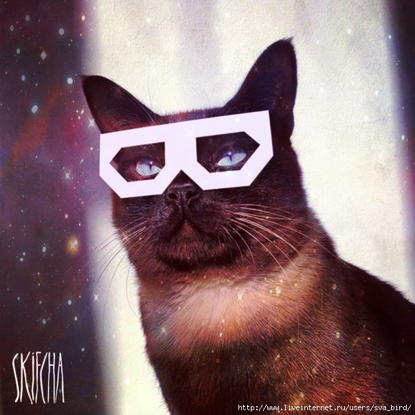 skifchacat (604x604, 201Kb)