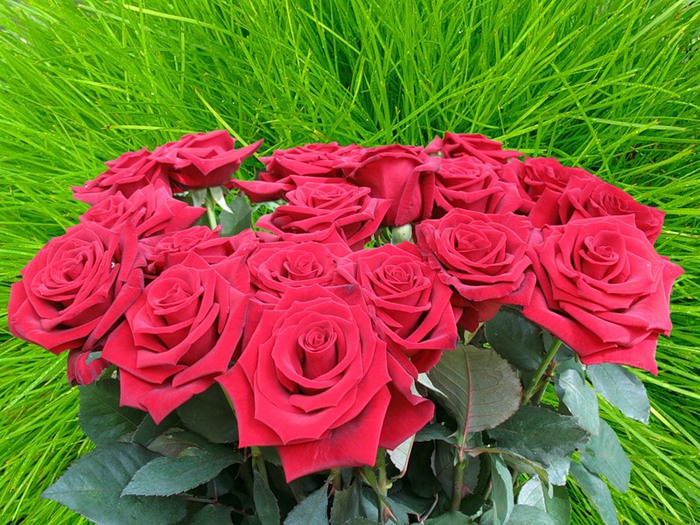 0_2ea3c_12572635_XL (700x525, 161Kb)